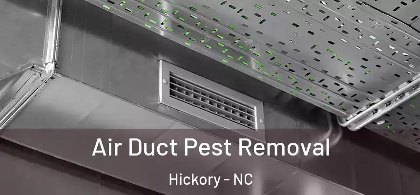  Air Duct Pest Removal Hickory - NC