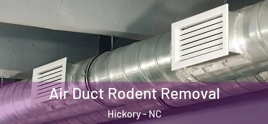  Air Duct Rodent Removal Hickory - NC