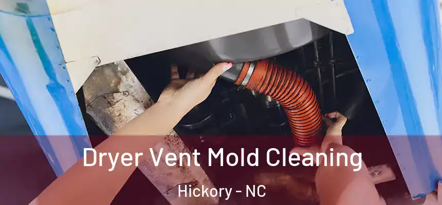 Dryer Vent Mold Cleaning Hickory - NC