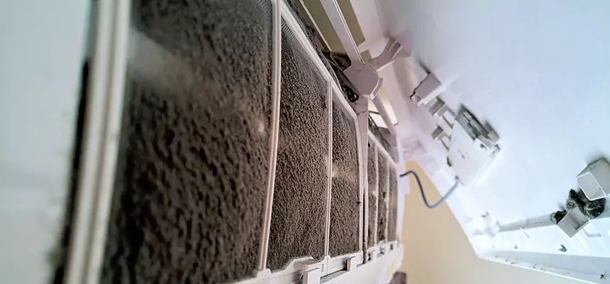 Preventive Air Duct Bacteria Removal in Hickory