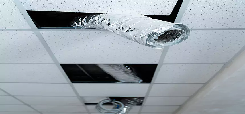 Affordable HVAC Sanitizing After Pest Removal in Hickory