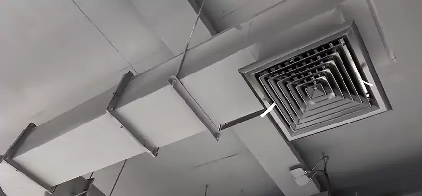 Our Pest Removal From Ducts Services in Hickory, NC