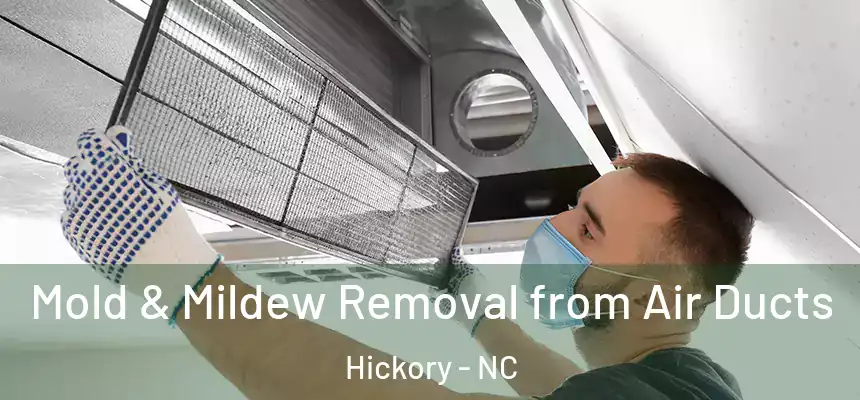  Mold & Mildew Removal from Air Ducts Hickory - NC