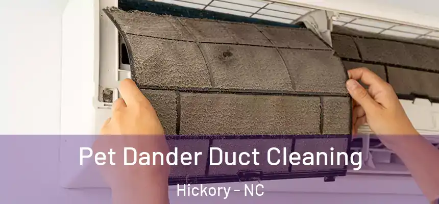Pet Dander Duct Cleaning Hickory - NC