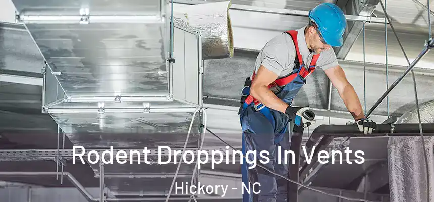  Rodent Droppings In Vents Hickory - NC