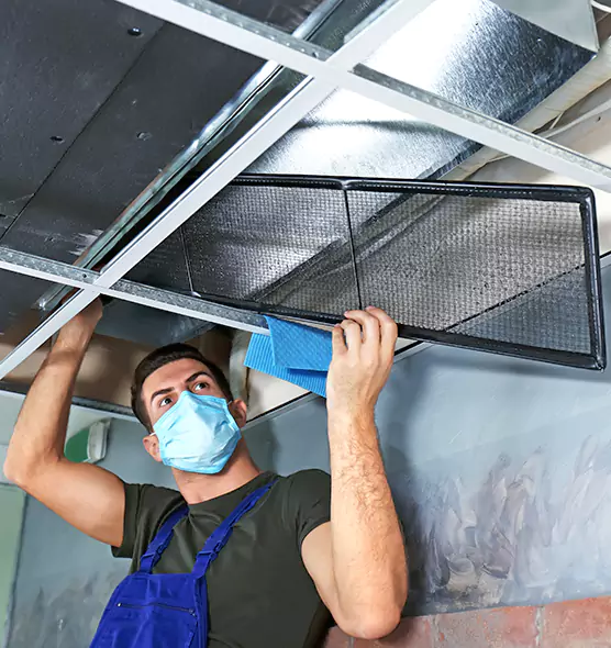About Air Duct Bacteria Removal in Hickory