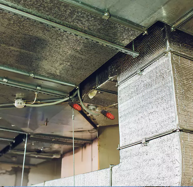 Why Homeowners & Businesses Trust Us in Hickory, NC?